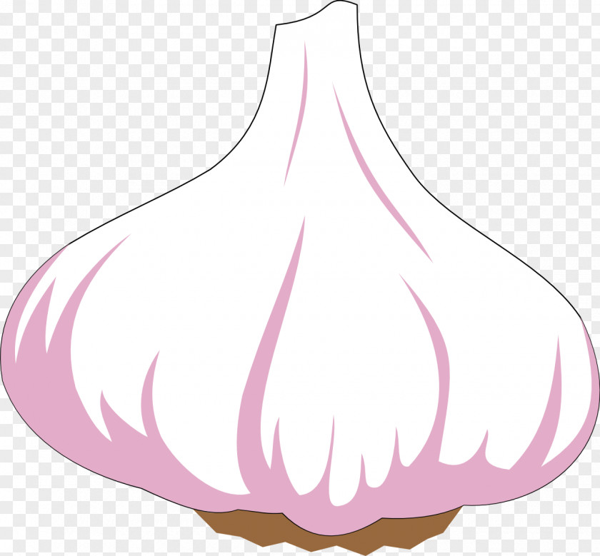 Garlic Vegetable Food Clip Art PNG
