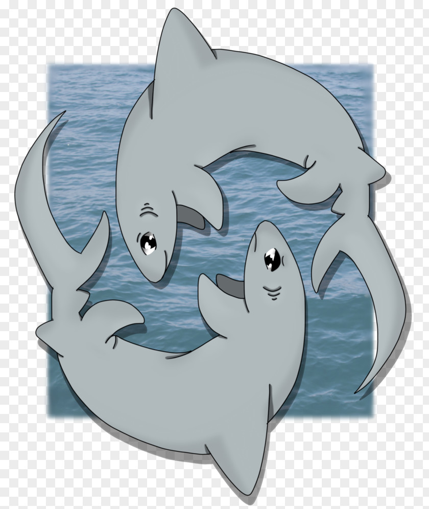 Q Version Of The Shark Cat Requiem Sharks Dolphin Dog PNG