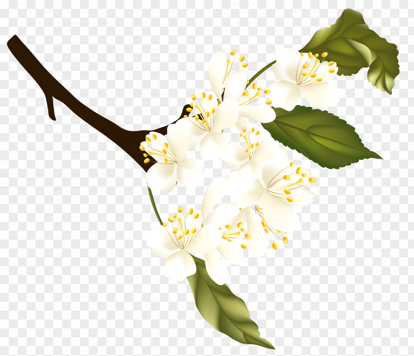 Spring Branch Element Clipart Clip Art PNG