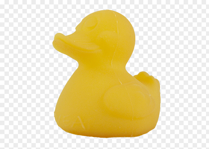 Duck Product Design Beak PNG