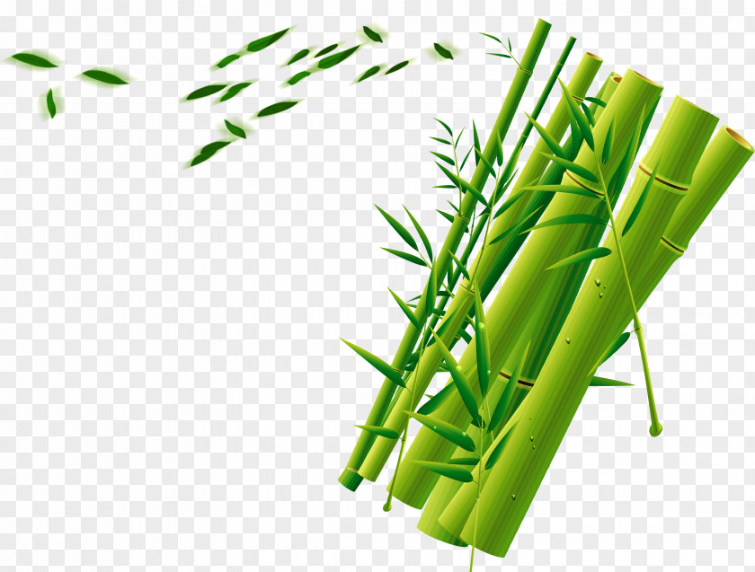 Green Bamboo Decorative Background Download PNG