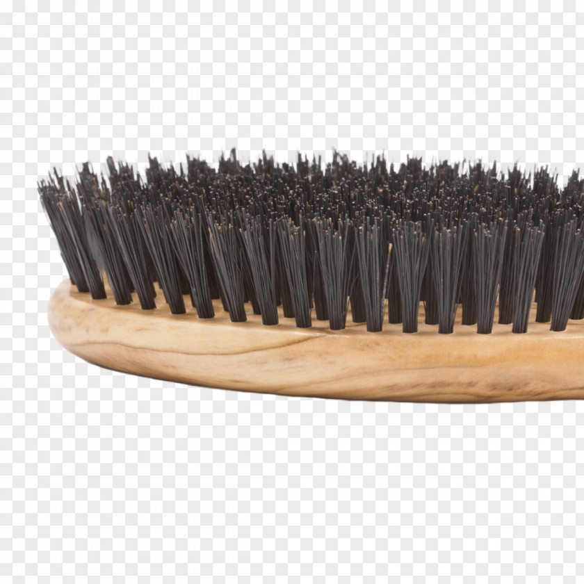 Hair Hairbrush Wild Boar Bristle PNG