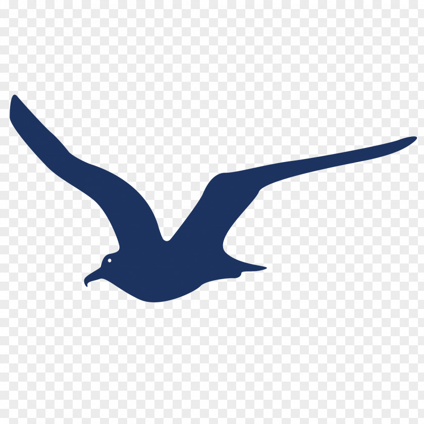 Bird Fleas Gulls Silhouette PNG