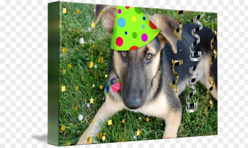 Birthday German Shepherd Dog Breed Party Puppy PNG