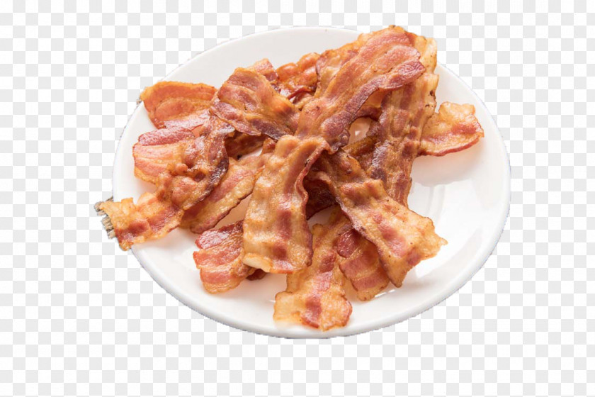 Delicious Barbecue Sheet Sausage 101 More Things To Do With Bacon Chicken Fried German Cuisine PNG