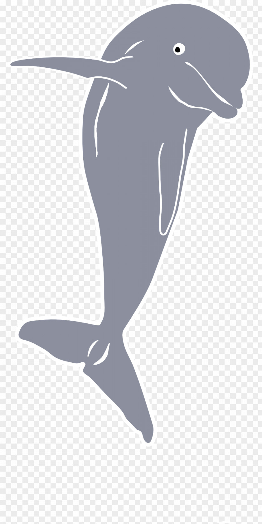 Dolphin Dolphin, Baby Whale Clip Art PNG