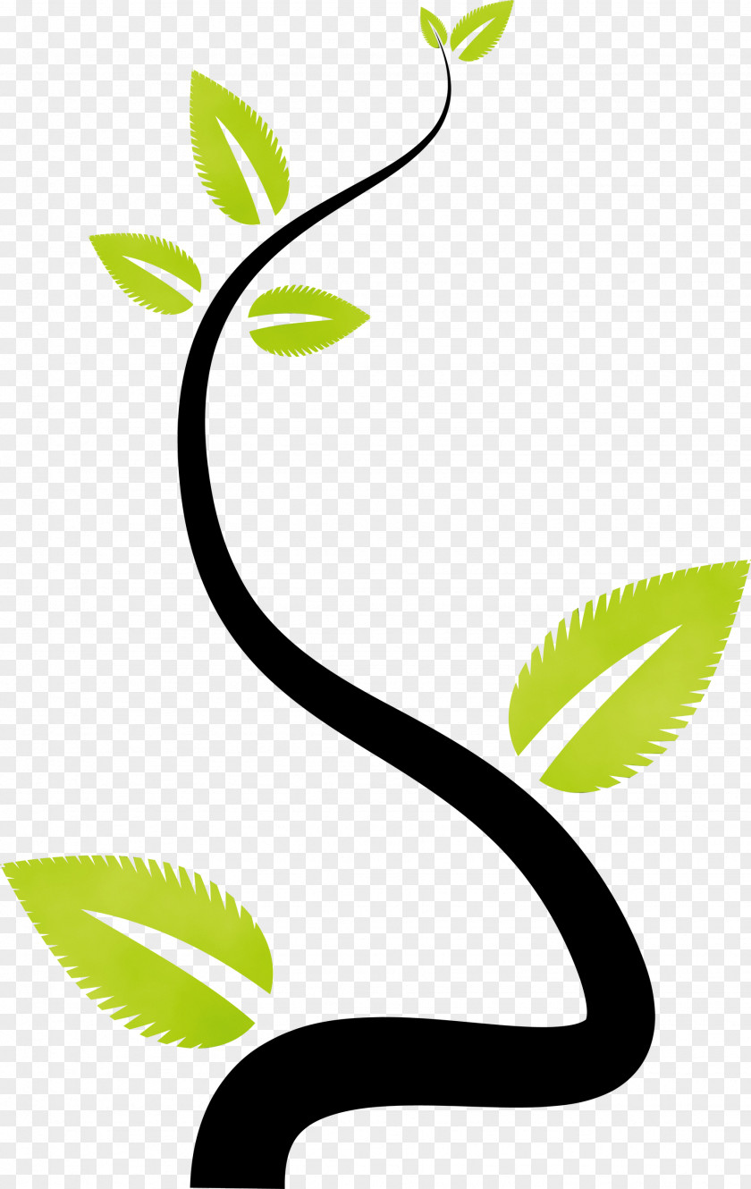 Plant Stem Leaf Green Flower Line PNG