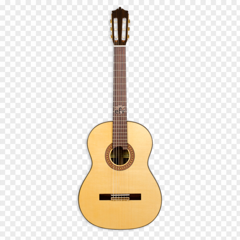 Acoustic Guitar String Musical Instruments Classical PNG