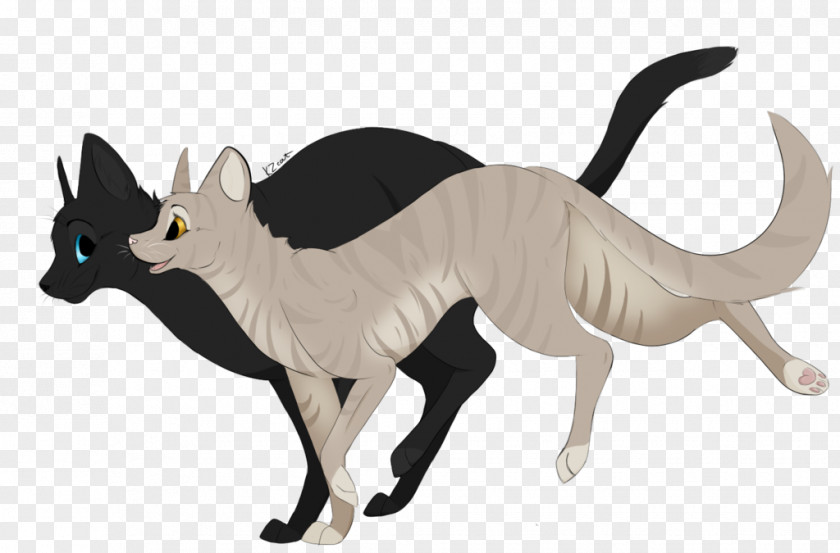 Beautiful Shading Cat Warriors Crowfeather Leafpool Art PNG