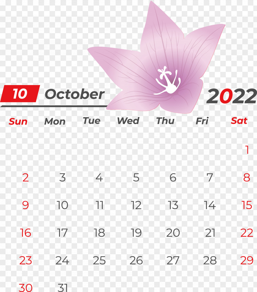 Calendar Line Font Petal Meter PNG