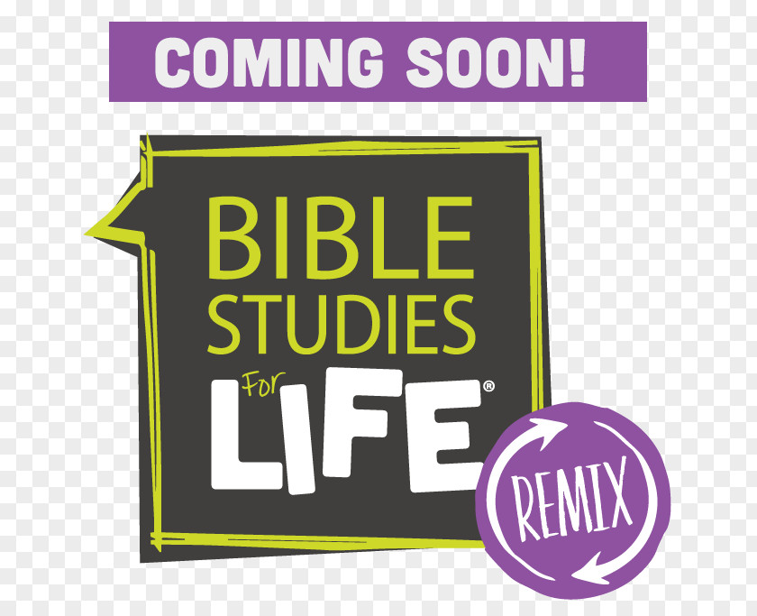 Child Bible Study LifeWay Christian Resources God's Word Translation PNG