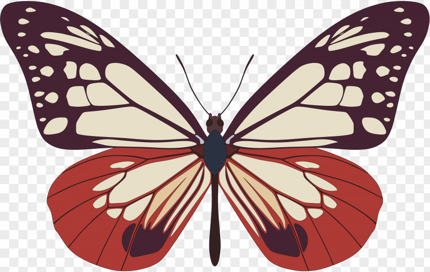 ID Butterfly Clip Art PNG