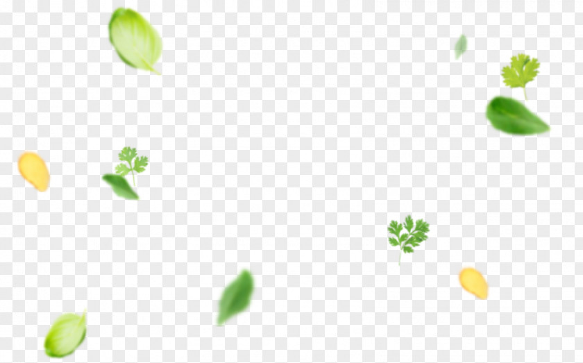 Leaf Petal Desktop Wallpaper PNG