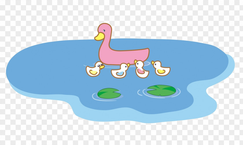 Little Ducks Play Water Duck Farm Clip Art PNG