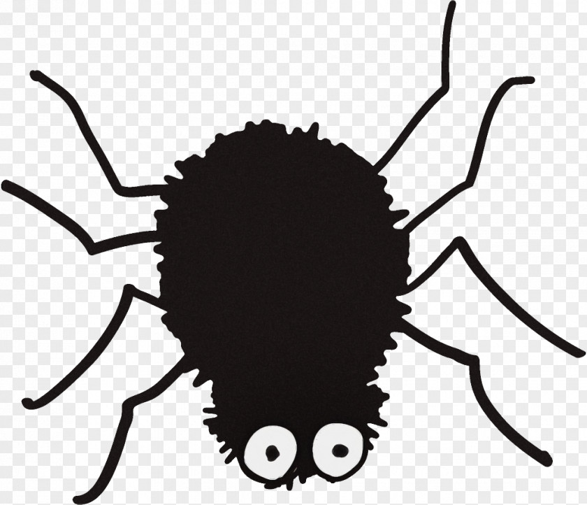 Spider Halloween PNG