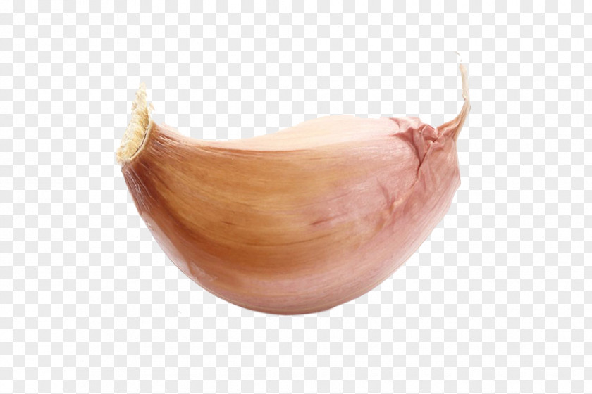 A Garlic Solo Vegetable PNG