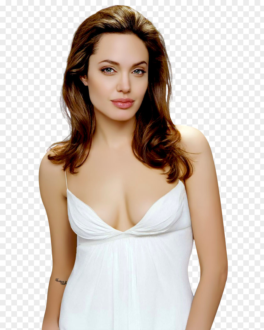 Angelina Jolie Hollywood Female Actor Model PNG