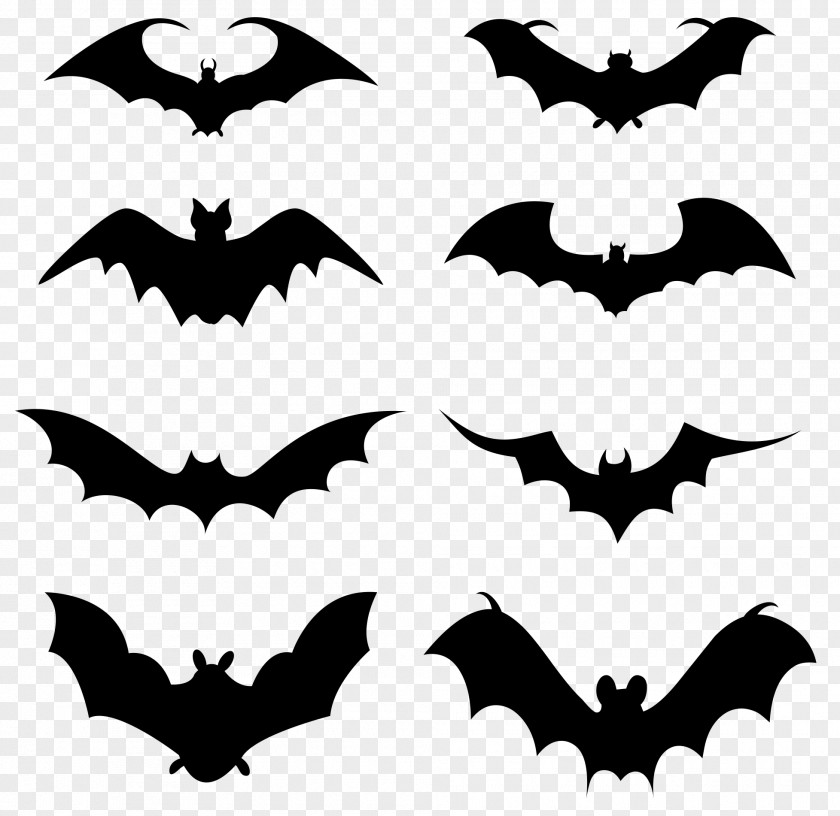Bat Family PNG