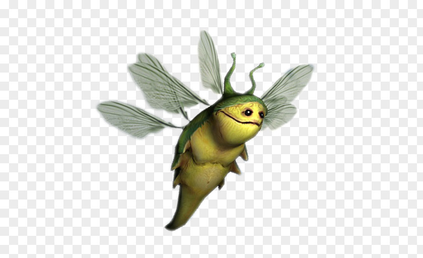 Bee Insect PNG