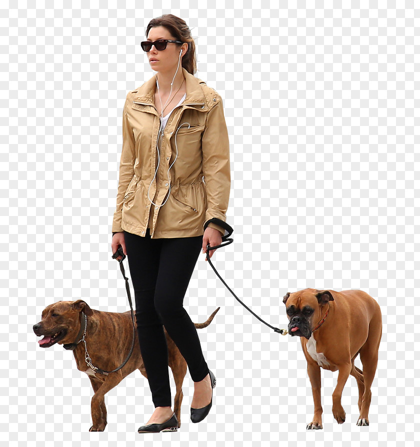 Dog Walking Cat People And Architectural Rendering PNG