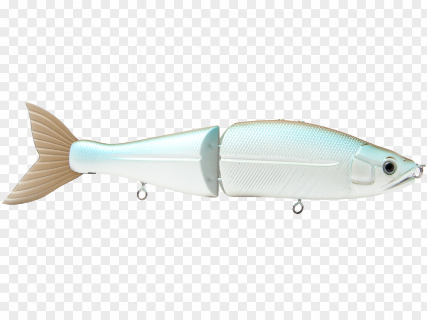 Fish Spoon Lure Herring Plastic Milkfish PNG