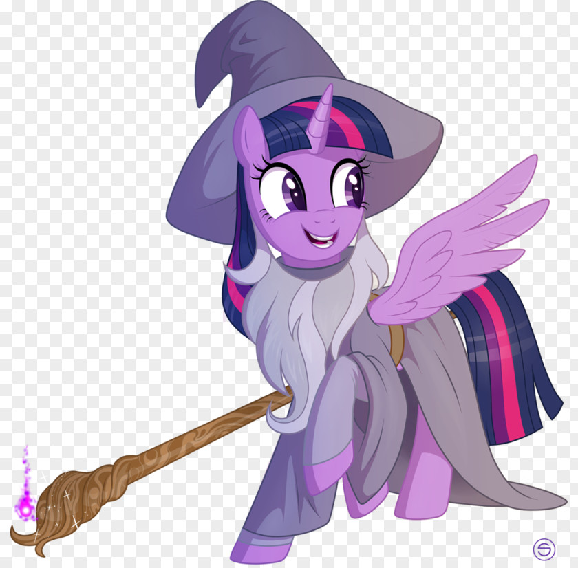 My Little Pony Twilight Sparkle Rarity Rainbow Dash The Saga PNG