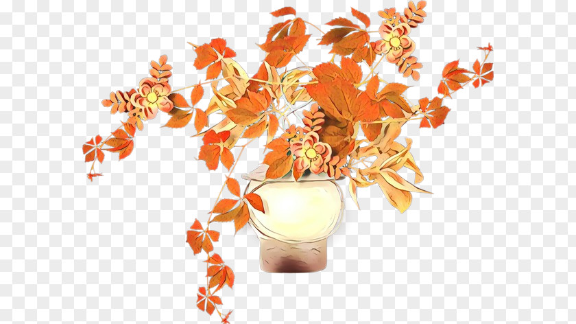 Perennial Plant Cut Flowers Orange PNG