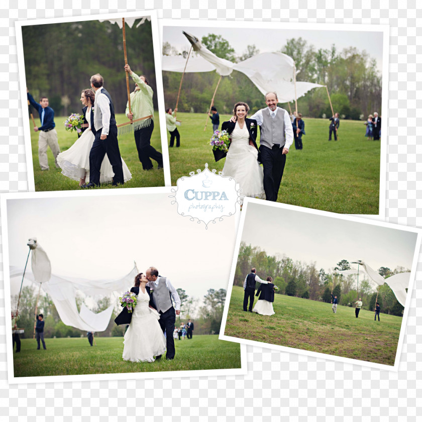 Wedding Photo Albums Collage Golf Clubs PNG