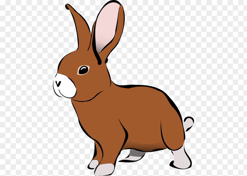 Wood Rabbit Fawn Easter Bunny Background PNG