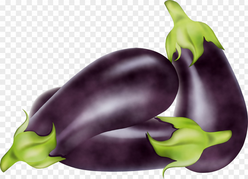 Aubergines Serrano Pepper Food Bell Vegetable PNG