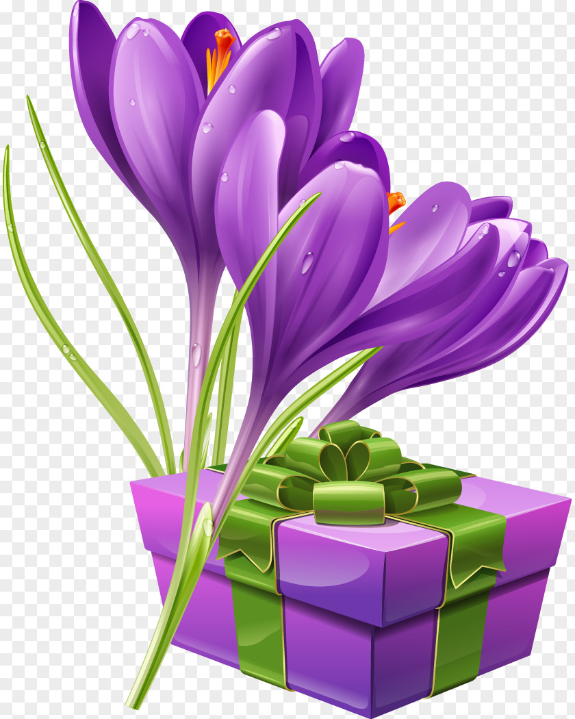 Beautiful Bouquet Of Purple Packs Flower Crocus Stock Photography Illustration PNG