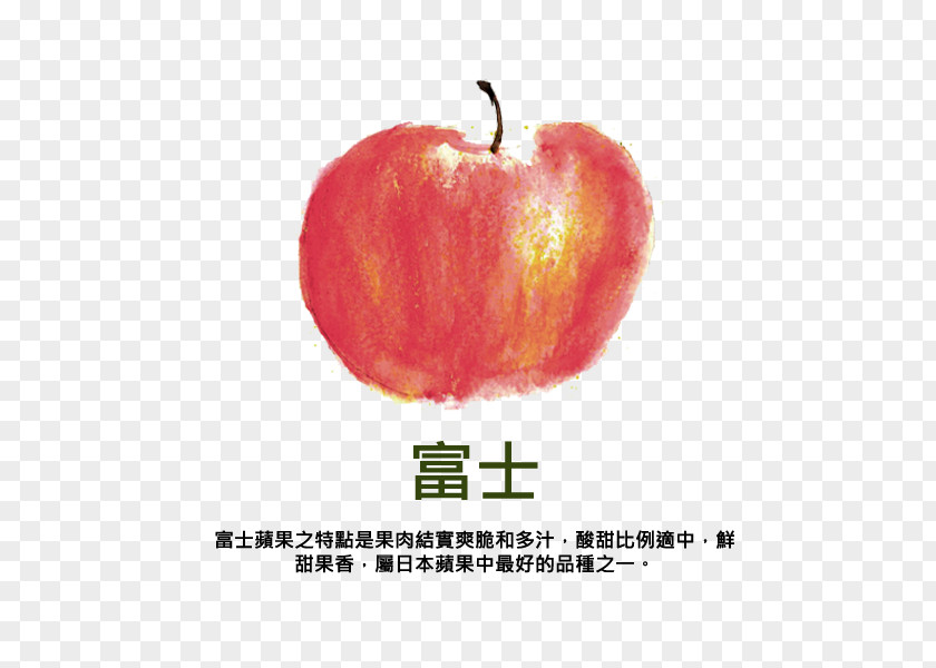 Health Paradise Apple Dietary Fiber Vitamin C Fuji PNG