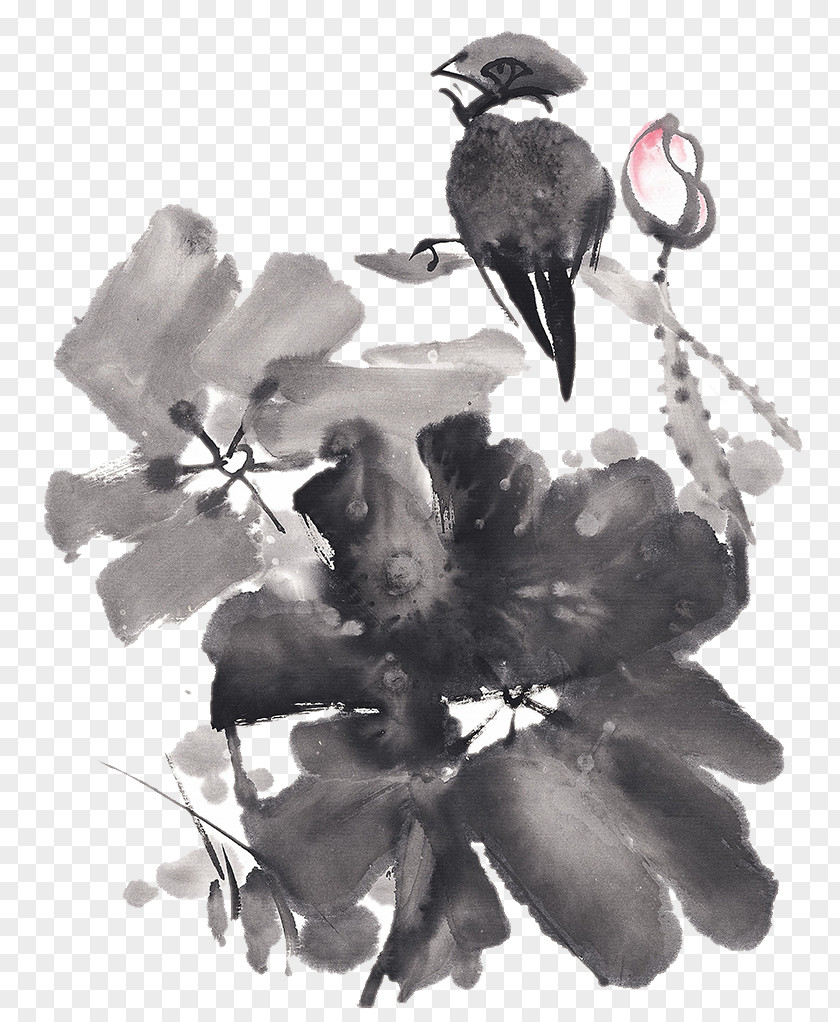 Ink PaintingLotus Wash Painting Chinese Nelumbo Nucifera PNG