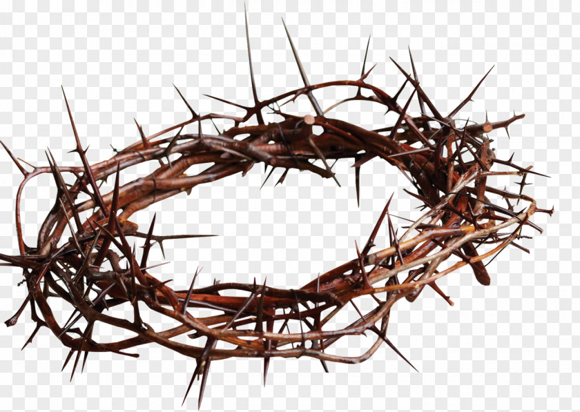 Metal Nail Crown Of Thorns Christian Cross Symbol Thorns, Spines, And Prickles Clip Art PNG