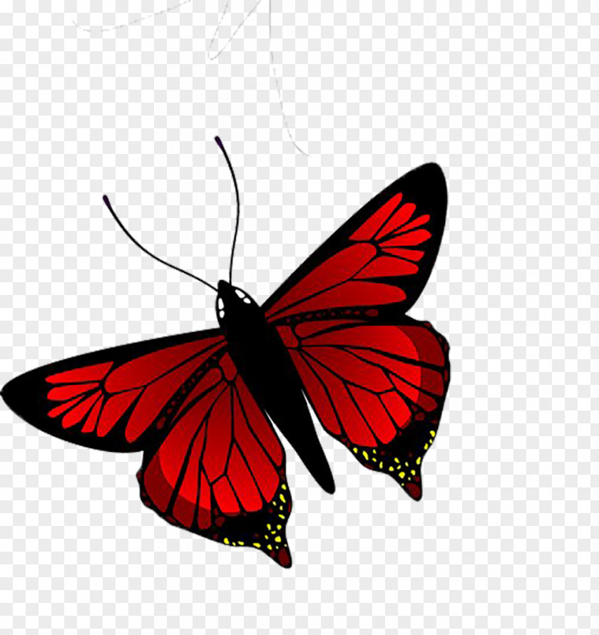 Red Butterfly Illustration PNG