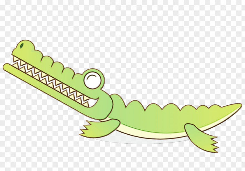 Alligators Crocodile Amphibians Jaw Fauna PNG