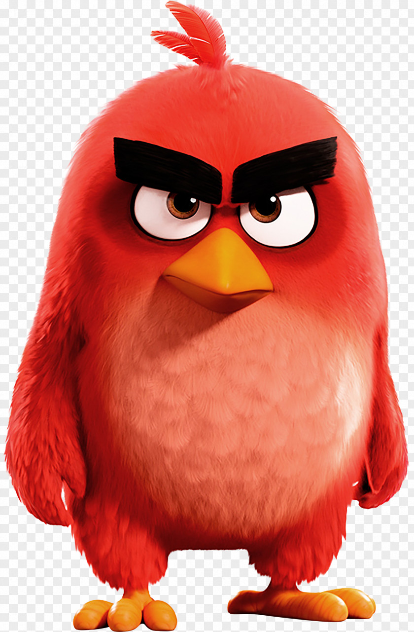 Angry Birds Epic 2 Go! Evolution PNG