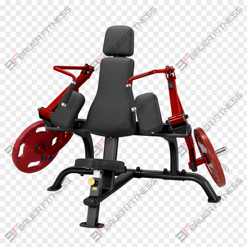 Bench Exercise Equipment Triceps Brachii Muscle Lying Extensions Biceps Curl Machine PNG
