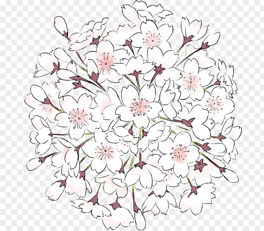 Cherry Blossom Floral Design PNG