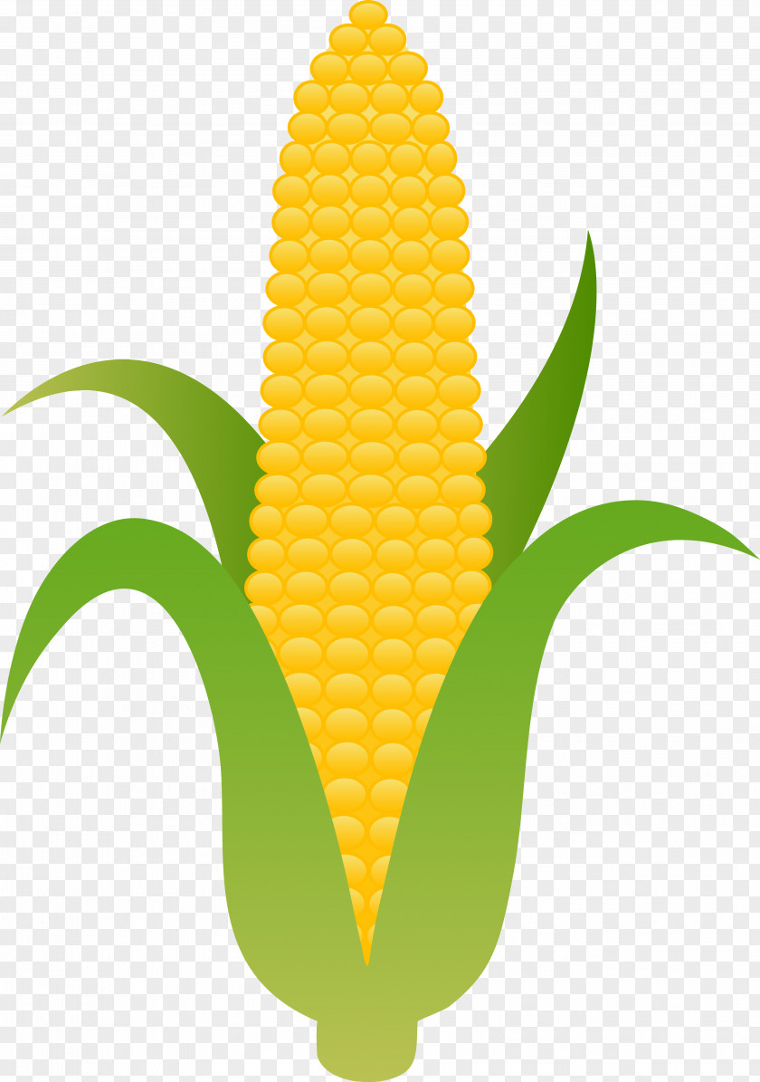 Fall Corn Cliparts On The Cob Candy Sweet Clip Art PNG