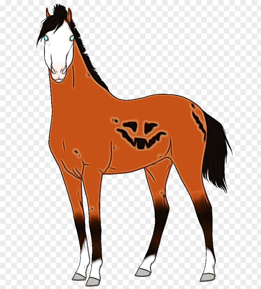 Horse Supplies Fawn Mane Foal Mustang Mare Stallion PNG