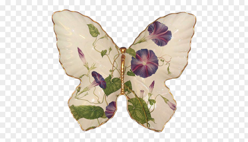 Romantic Butterfly Common Morning-glory Morning Glory Vine Botany Beach Moonflower PNG