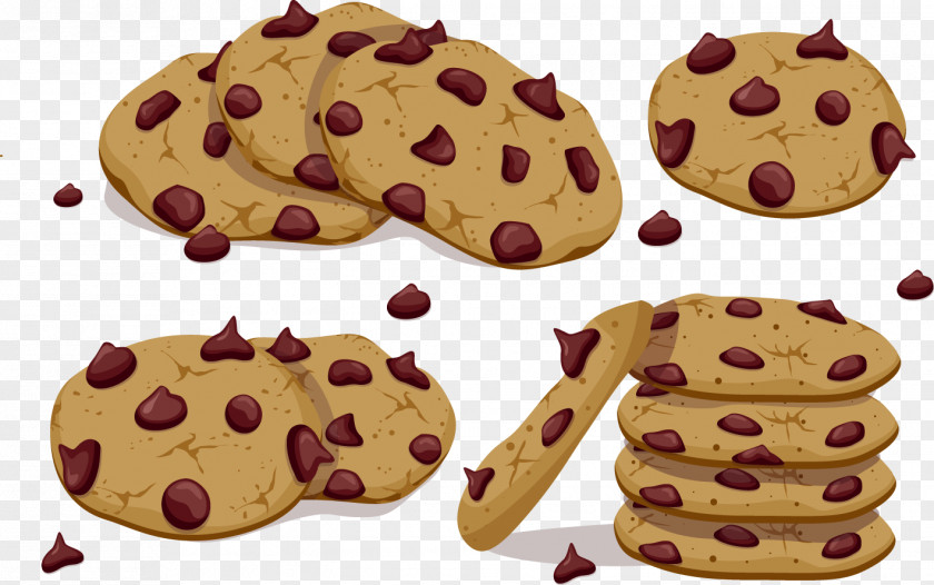Vector Chocolate Cookies Chip Cookie PNG