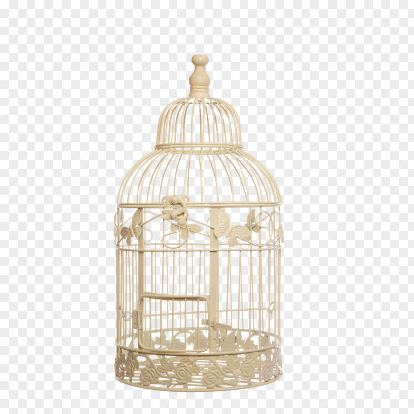 Bird Birdcage Stock Photography Vintage Clothing PNG