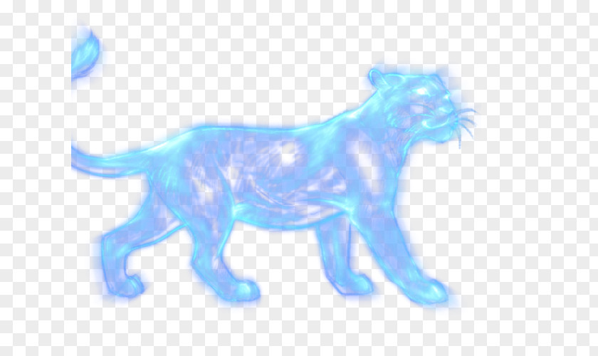 Cat Dog Canidae Tail Mammal PNG