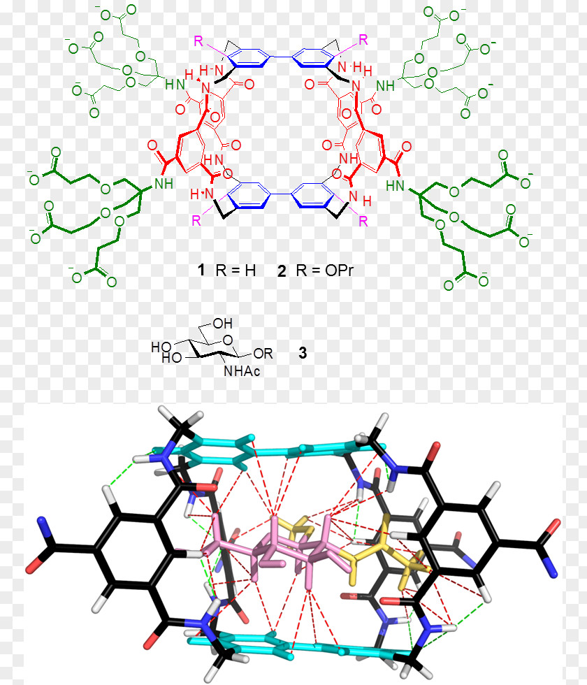 Design Graphic Hex Grid Stencil Receptor Diagram PNG