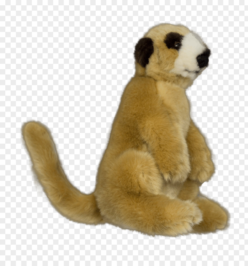 Durrell Wildlife Conservation Trust Terrestrial Animal Stuffed Animals & Cuddly Toys Snout PNG