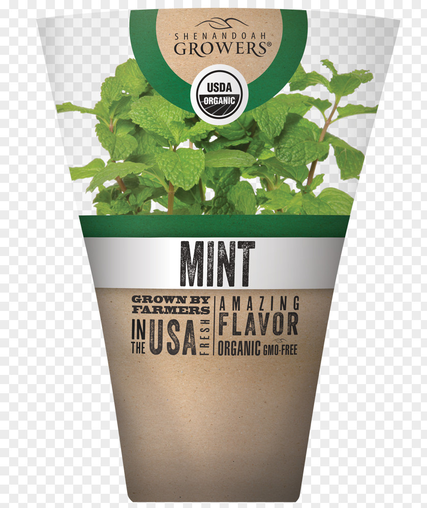 Mint Herb Flowerpot Julep Oregano PNG
