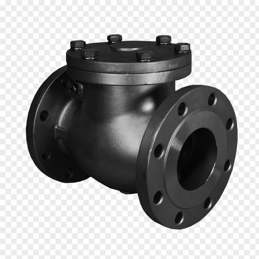 OMB Valves Double Block Specification For Steel Globe And Stop Check (Flanged Butt-Welding Ends) The Petroleum, Petrochemical Allied Industries Stainless Ball Valve PNG