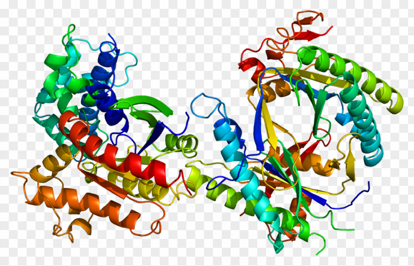 Organism GNAS Complex Locus Gene Adenylyl Cyclase Human Genome Gs Alpha Subunit PNG